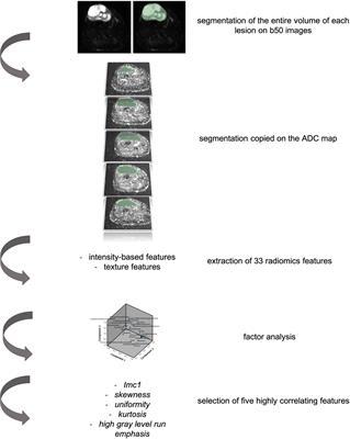 Tumor cellularity beyond the visible in soft tissue sarcomas: Results of an ADC-based, single center, and preliminary radiomics study